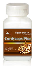 Cordyceps-Plus-
